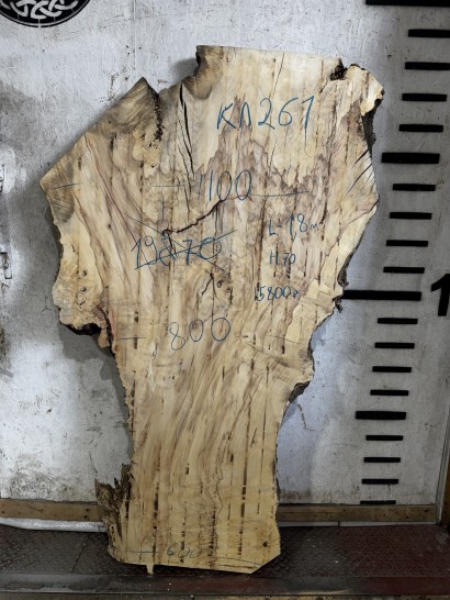 Слэб Кл261 Клен 1790*610-1080*70