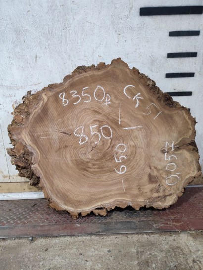 Спил СК51 Карагач 850*650*100