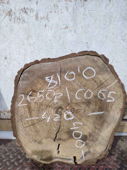 Спил СО65 Орех 420*400*100