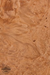 Шпон корень Клена 0,6 А