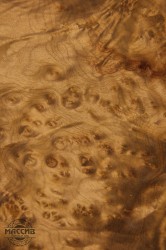 Шпон корень Мандоры золотой 0,6 А